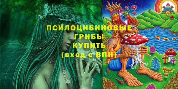 спиды Протвино