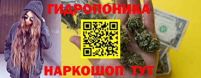 ПСИЛОЦИБИНОВЫЕ ГРИБЫ Коммунар