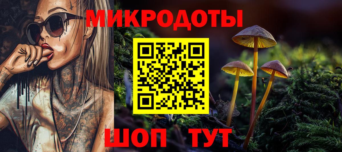 Псилоцибиновые грибы Psilocybine cubensis Бирск