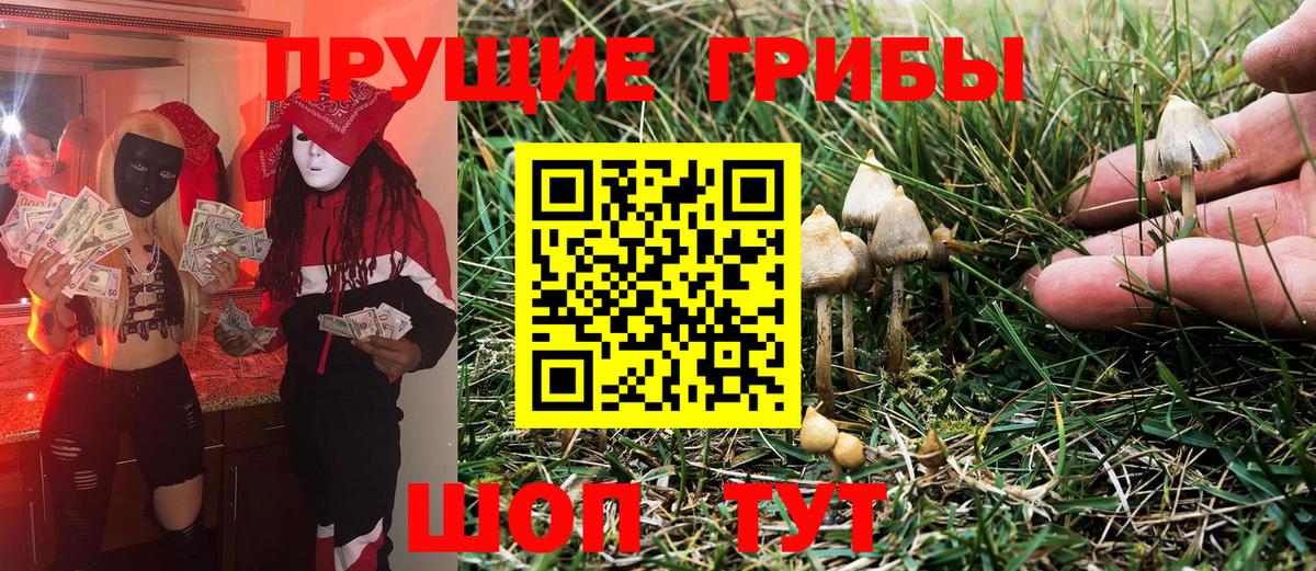 Псилоцибиновые грибы MAGIC MUSHROOMS  Вход с VPN  Галлюциногенные грибы Cubensis  Бирск 